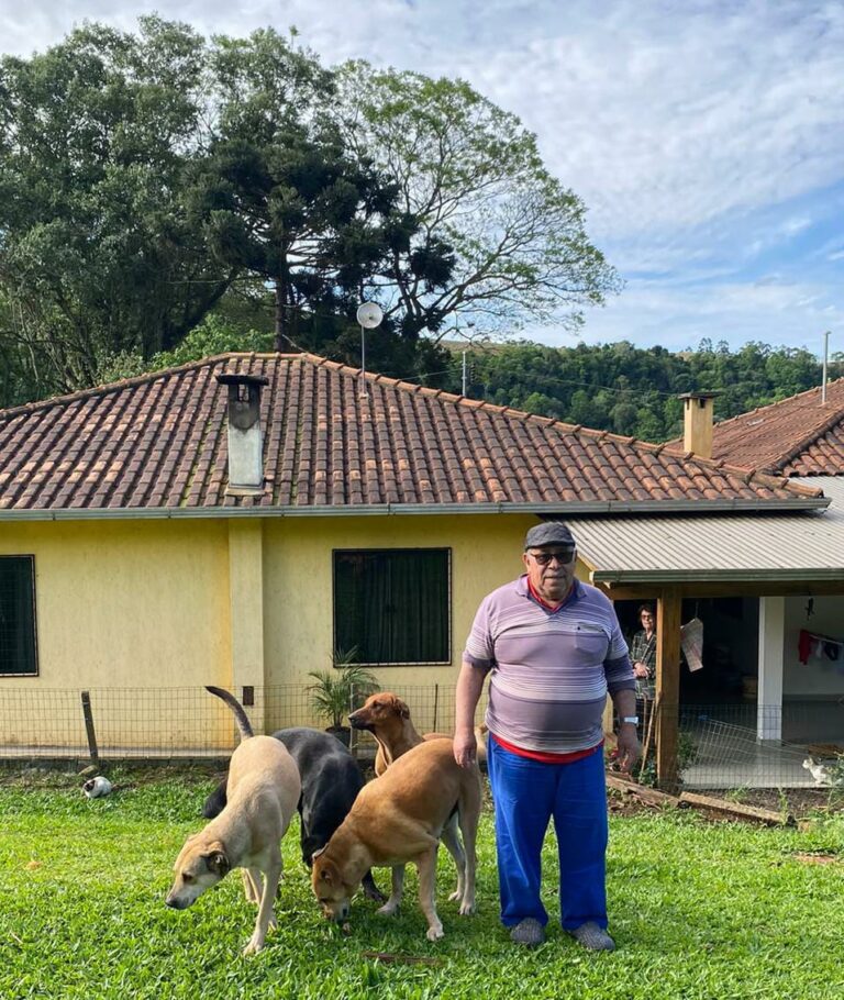 Castração: investimento na saúde e bem-estar dos animais